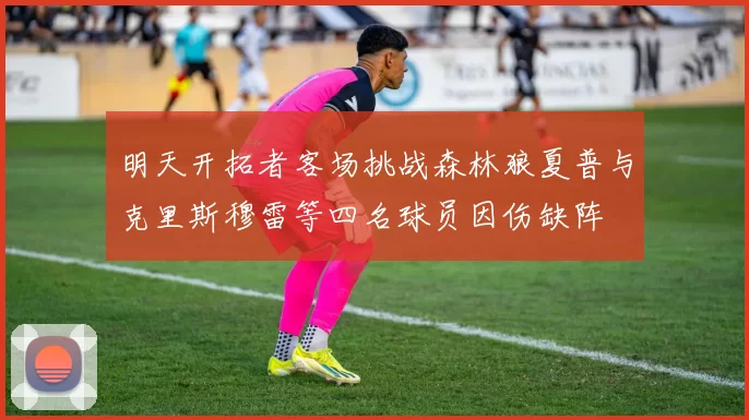 明天开拓者客场挑战森林狼夏普与克里斯穆雷等四名球员因伤缺阵